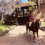 Horse Appia Rome