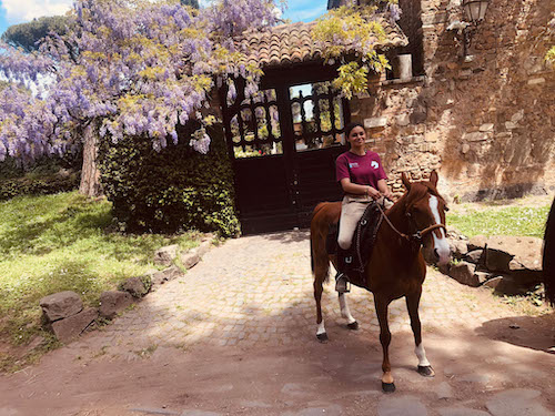 Horse Appia Rome